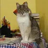 Отзыв от Клара Шевелева